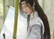 The Charm of Waist-Grazing Hanfu Corsets:A Journey into Traditional Chinese Elegance