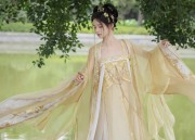 The Splendor of Song Dynasty Hanfu Dance Costumes:A Journey into Traditional Elegance