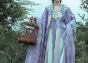 Ancient Hair Ornaments for Traditional Chinese Hanfu Costumes:A Journey Through Time