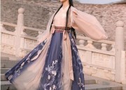 Vintage-Inspired Qipao for a Stylish 40-to 50-Year-Old Fashion Statement