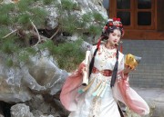 Elegant Mid-Length Cheongsam:A Premier Fashion Statement