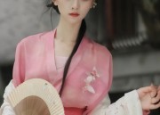 Hanfu Girls Traditional Spring Festival New Years Visit Costume