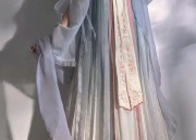 The Splendid Rise of Hanfu One-Piece Skirts:A Journey into Traditional Elegance