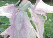 The Rise of Ming-Style Hanfu Bijia:A Cultural Exploration