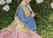 Traditional Chinese Style:The Allure of Ma-Mian Skirts with Embellished Waistbands