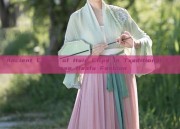 Ancient Charm of Hair Clips in Traditional Chinese Hanfu Fashion