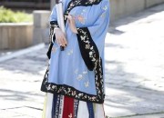 The Enchantment of Hanfu Skirts for an Eight-Year-Old Girl