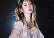 Adult Womens Daily Hanfu Skirt Fashion:A Journey into Traditional Elegance