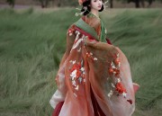 The Hairpins of Traditional Chinese Hanfu:A Cultural Journey