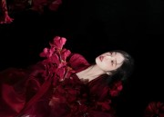 The Splendor of Daqiaos Hanfu and Wang Zhaojuans Elegance
