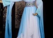 The Plum Blossom Patterned Horseface Skirt:A Blend of Traditional Beauty and Modern Elegance
