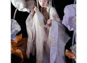 The Splendid Charm of Nine-Screen Cheongsam:A Glimpse into Traditional Chinese Elegance
