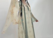 The Splendid Beauty of Yang Yuhuans Hanfu and the Enigma of Lin Daiyu
