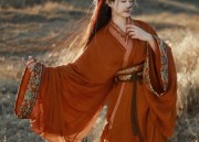 Hanfu Style Bags:A Perfect Accessory to Match Traditional Elegance