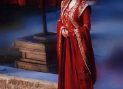 The Origin and Evolution of Traditional Chinese Clothing:The State Sleeve and the Qiyi Green Robe