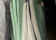 The Cultural Significance of Horseface Skirt with Phoenix Pattern in Traditional Chinese Fashion