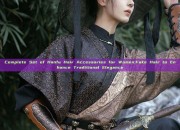 Complete Set of Hanfu Hair Accessories for Women:Fake Hair to Enhance Traditional Elegance