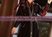 The Introduction of Hanfu Traditional Clothing for Primary School Students