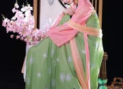 Pavilion Skirt with Cotton Inner lining:The Charm of Horseface Dress