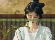 Summer Hanfu Sets for Little Girls:A Guide to Traditional Elegance