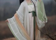 The Enchanting Journey of a Student Fairy in a Complete Set of Hanfu Headdress