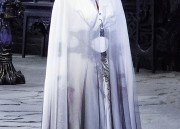 The Elegance of a Two-Piece Cheongsam for an Affluent阔太太