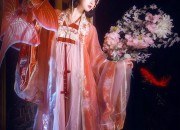 The Cross-Collared Blouse:Womens Hanfu Traditional Chinese Clothing