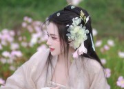 Short-sleeved Cheongsam with Traditional Chinese盘扣:A Blend of Fashion and Heritage