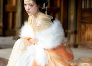Elegant Tang-Style Womens Traditional Chinese Clothing:Embracing the Essence of Chinese Heritage