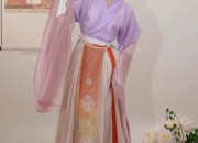 Chinese-Style Girls Hanfu and Tang Costumes:A Blend of Tradition and Modernity