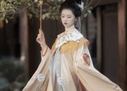 Embracing Modernity in Traditional Tang-Style Hanfu:The Evolution of Plus-Size Fashion
