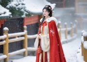 Classic Elegance:The Allure of Old Beijing Womens Cotton Shoes with Horseface Skirt