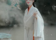 The Splendor of Hanfu:The Charm of Maixiong Skirts