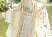 Winter Ming Dynasty Hanfu Costume Collection:A Comprehensive Guide