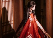 Phoenix Roar and Silk Dance:The Originality of Fengming Luans Hanfu Fashion