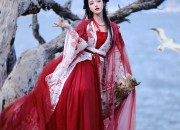 小个子夏季旗袍时尚指南，优雅与自信的完美融合