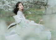 The Splendor of Hanfu:The Story of Cherry Blossoms Elegance