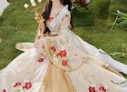 Adult Womens Winter Tang-Style New Years Celebration Clothing:A Guide to Traditional Elegance
