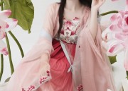 Ancient Martial Arts Attire:Womens Traditional Costume in Chinese Martial Arts Films