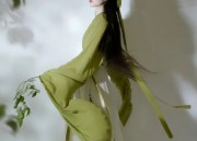Elegant Summer Hanfu Tops:A Journey into Traditional Chinese Fashion