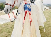 Summer Hanfu Fashion for Girls:A Guide to Chinese Traditional Dress for Children
