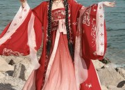 Encountering the Dragon:The Charm of Hanfu Fashion in a Traditional Yet Modern Light