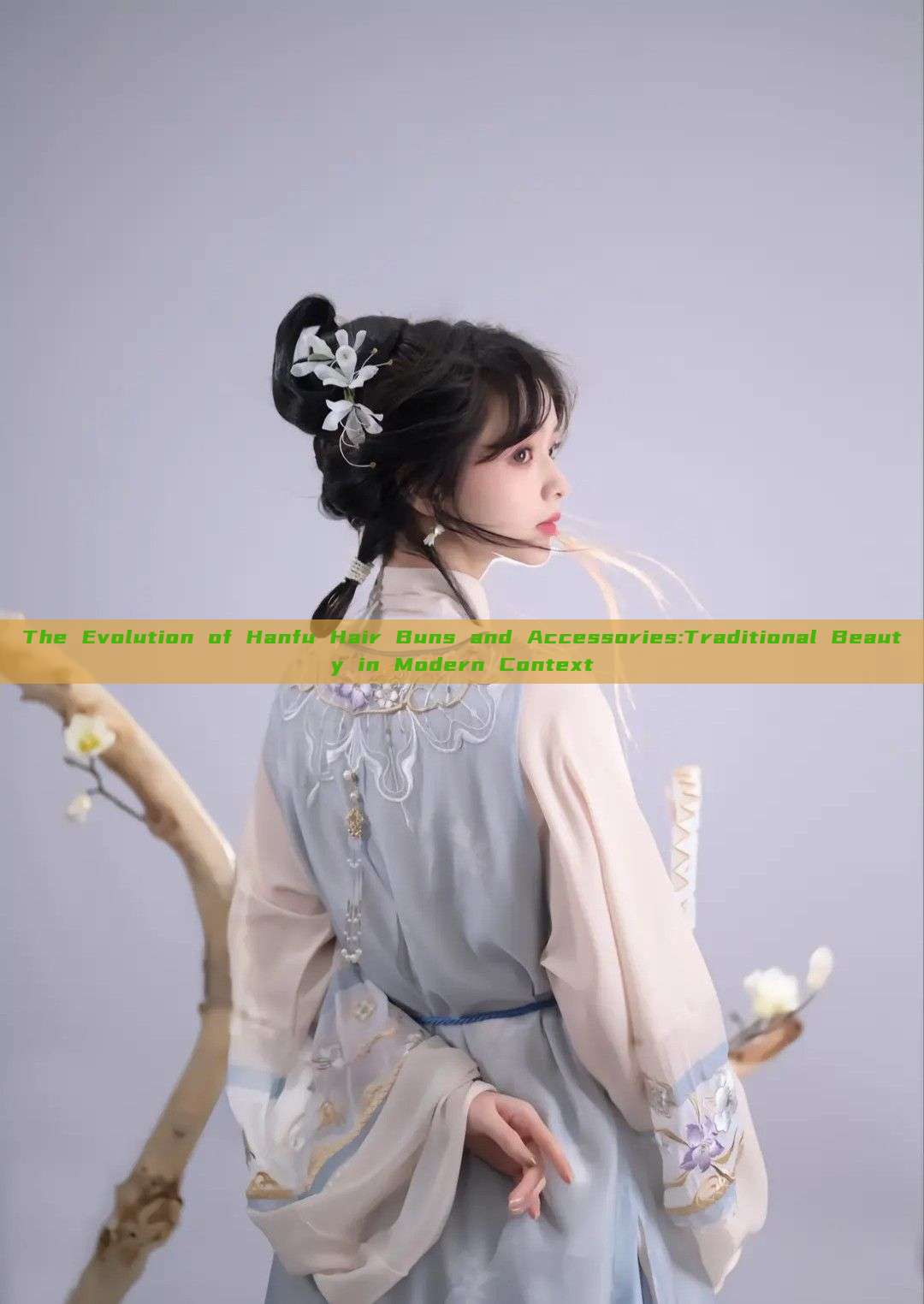 The Evolution of Hanfu Hair Buns and Accessories:Traditional Beauty in Modern Context The Evolution of Hanfu Hair Buns and Accessories:Traditional Beauty in Modern Context