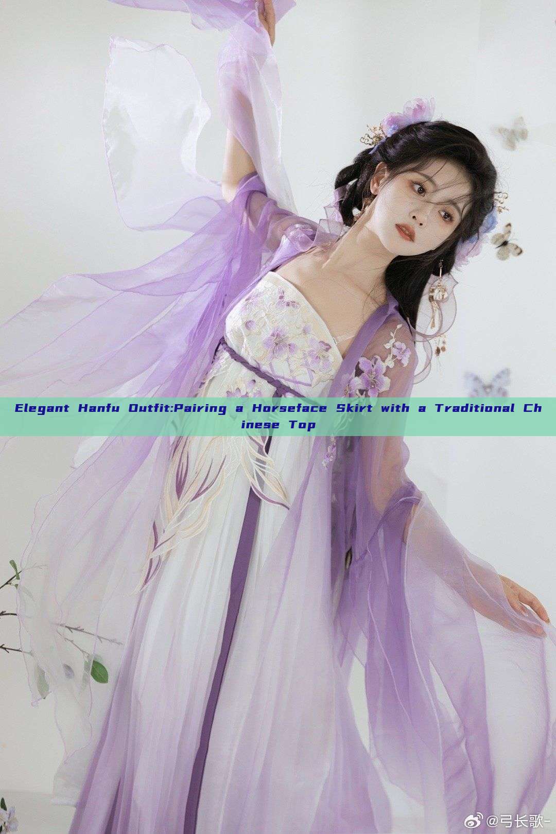 Elegant Hanfu Outfit:Pairing a Horseface Skirt with a Traditional Chinese Top Elegant Hanfu Outfit:Pairing a Horseface Skirt with a Traditional Chinese Top