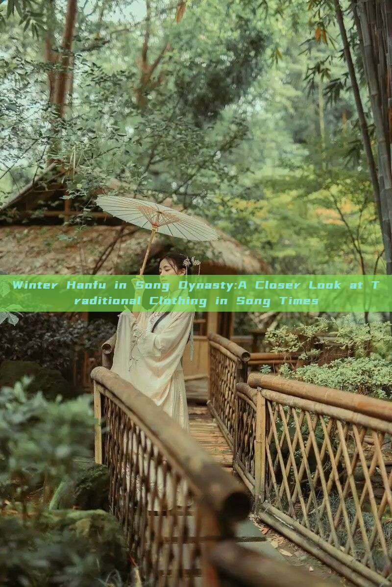 Winter Hanfu in Song Dynasty:A Closer Look at Traditional Clothing in Song Times Winter Hanfu in Song Dynasty:A Closer Look at Traditional Clothing in Song Times