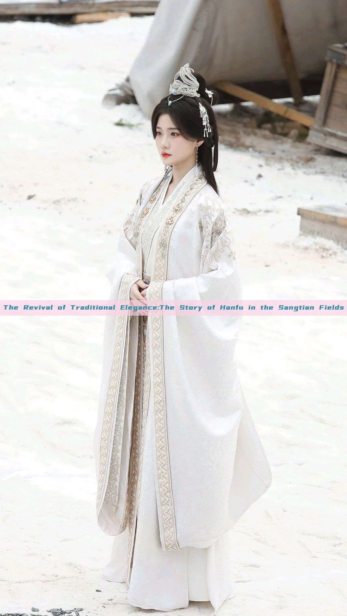 The Revival of Traditional Elegance:The Story of Hanfu in the Sangtian Fields