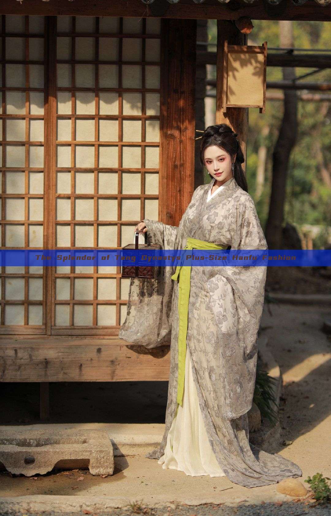 The Splendor of Tang Dynastys Plus-Size Hanfu Fashion