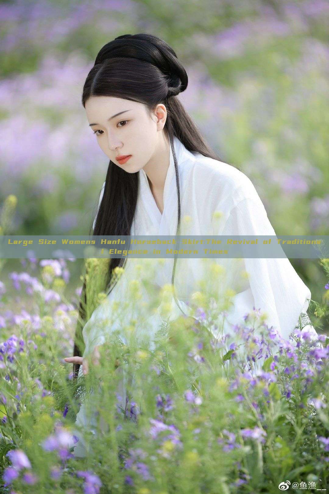 Large Size Womens Hanfu Horseback Skirt:The Revival of Traditional Elegance in Modern Times