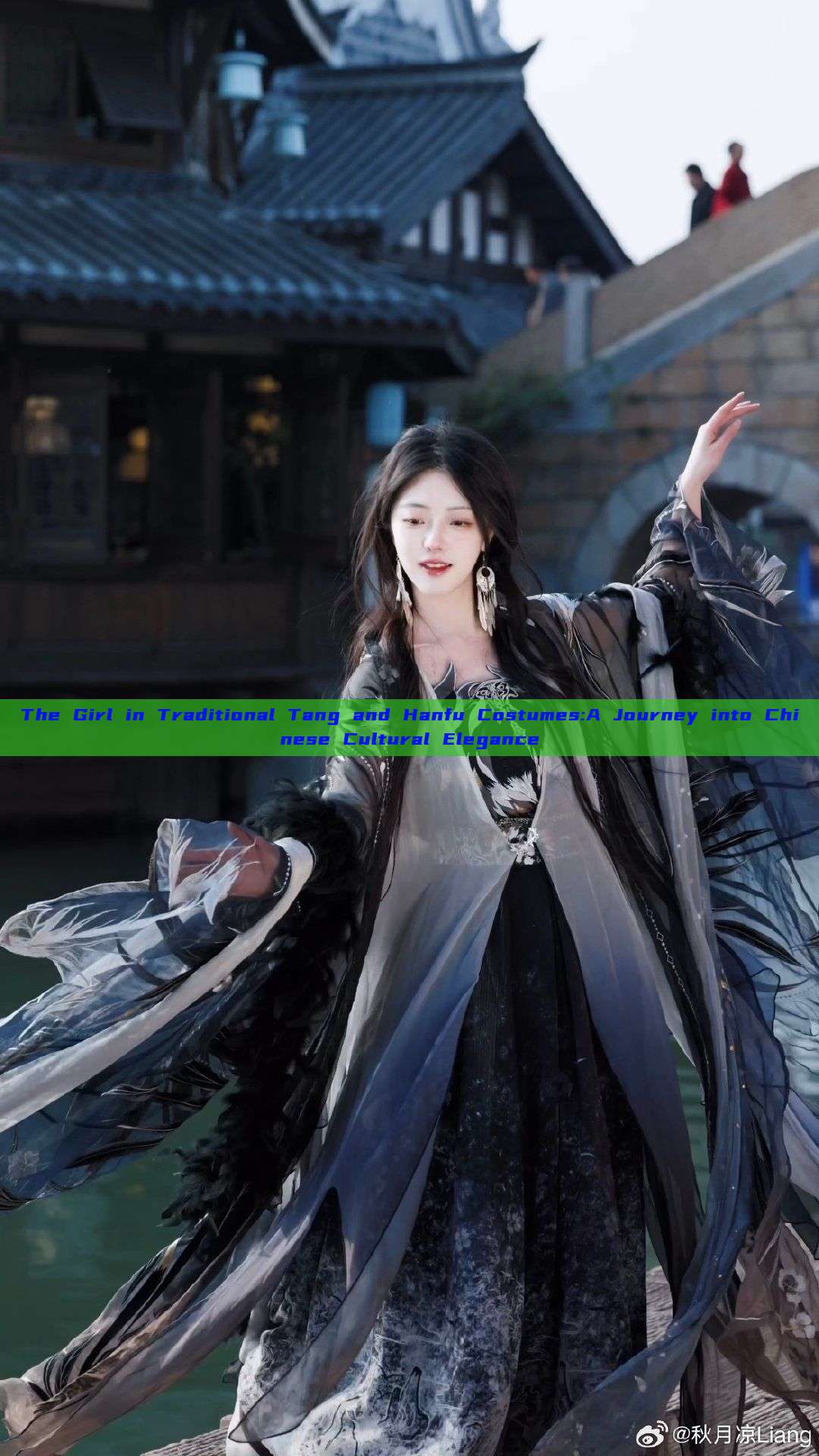 The Girl in Traditional Tang and Hanfu Costumes:A Journey into Chinese Cultural Elegance The Girl in Traditional Tang and Hanfu Costumes:A Journey into Chinese Cultural Elegance