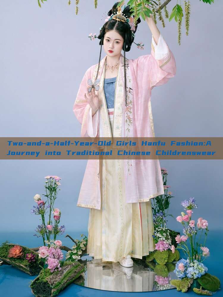 Two-and-a-Half-Year-Old Girls Hanfu Fashion:A Journey into Traditional Chinese Childrenswear Two-and-a-Half-Year-Old Girls Hanfu Fashion:A Journey into Traditional Chinese Childrenswear